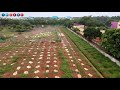 Tree plantation | Sivagangai District Government of Tamilnadu India | Forest #dji #drone #footage