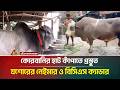 কোরবানির হাট কাঁপাতে প্রস্তুত যশোরের নেইমার ও বিসিএস ক্যাডার | ATN Bangla News