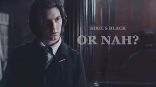 Sirius Black | Or nah?