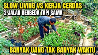 SLOW LIVING VS. SMART WORKING!!! MAKING BANK BUT NO TIME TO ENJOY IT