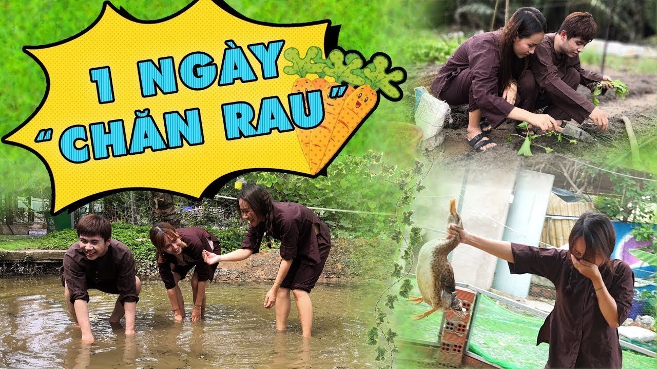Ký sự 1 ngày đi “CHĂN RAU” newsletter
