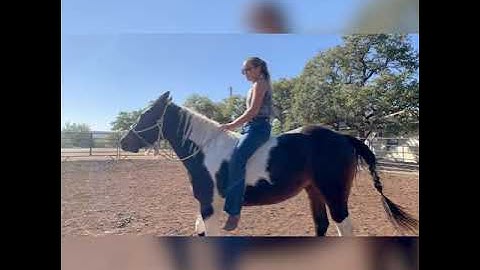 3 Important Tips for Riding Bareback on Your Horse