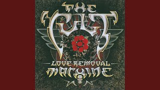 Love Removal Machine