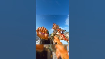 🔥 Unlock ALL Store Bundle Blueprints for FREE! BO6 WARZONE Glitch #warzone #callofduty #bo7 #bo6