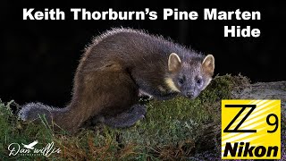 My Visit to Keith Thorburn's Pine Marten Hide