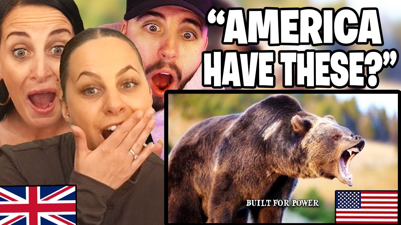 British Family Reacts to the Most DANGEROUS ANIMALS In The UNITED STATES...