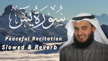Surah Yaseen سورة يس By Sheikh Mishary Rashid Al-Afasy الشيخ مشاري راشد العفاسي | Very Peaceful |