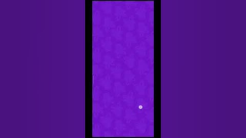 braindom 3 level 200 | Flare Games XT