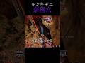 キングスキャニオンの奈落穴#apex#エーペックス