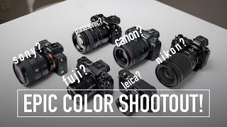 Which Camera Brand Color is Best: Canon, Sony, Nikon, Fuji, Panasonic, or Leica?