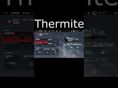 What the internet says are the best loadouts pt. 3