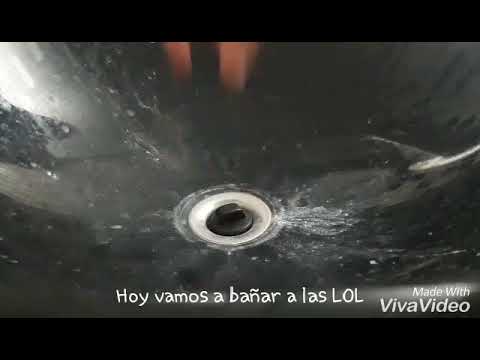 camera iphone 8 plus apk BAÑANDO a Dawn y Queen Bee!