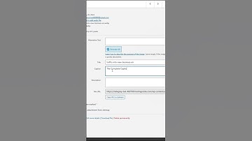 Adding captions to images in wordpress #shorts #wordpress