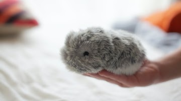 5 NEW Inventions and Gadgets 2021 | That Are At Another Level