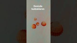 Denizde Bulduklarım