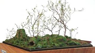 森林鉄道 新緑と苔むした倒木 ：Art Stage K 塗装済完成品 1/87