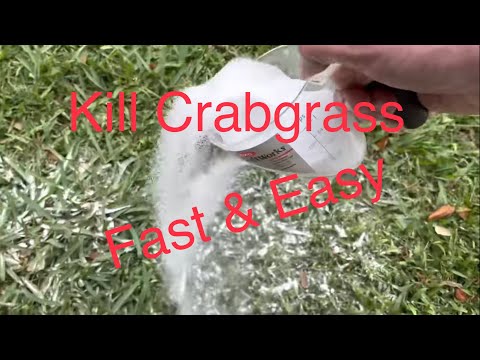 How to Kill Crabgrass Without Affecting Your Lawn Fast & Easy