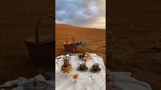 تغذية بصرية | 🪐 | #الشيخ_بدر_المشاري #بدر_المشاري #gaming #good #quran #solo #gqa #mbc #الاسلام