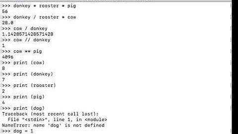 Python Programming Tutorial - 3 - initializing Variables