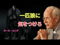 【ユング心理学・警告】人と距離を置く「一匹狼」に潜む影──見逃してはいけない危険なサイン