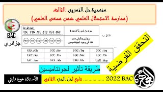 العرض الرابع من حل تمرين الجونتاميسينباك 2022