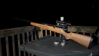 June Mouse Hunt 2 2026