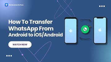 How To Transfer WhatsApp From Android to iOS/Android?