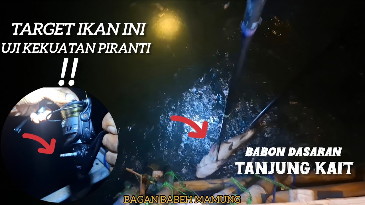 BABON DASARAN ‼️ JANGAN COBA PAKAI PIRANTI KECIL TARGET IKAN INI ‼️ || IKAN MANYUNG TANJUNG KAIT