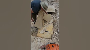 #fossil #fossils #fish #interesting #paleontology  #preparation #discovery #greenriverformation #wow