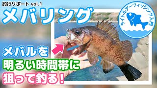 明るい時間帯のメバル釣り デイメバリング で爆釣 冬のシビアコンディションを攻略し 日中に25cmオーバーのメバルが デイゲームで釣れるおすすめワームの紹介も Youtube 明るい時間帯のメバル釣り デイメバリング で爆釣 冬のシビアコンディションを攻略し 日中に25cmオーバーのメバルが デイゲームで釣れるおすすめワームの紹介も Youtube