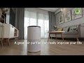 Purificateur dair proscenic a8  contrle intelligent pour allergies  air pur