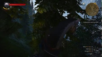 The Witcher 3 Fall Damage