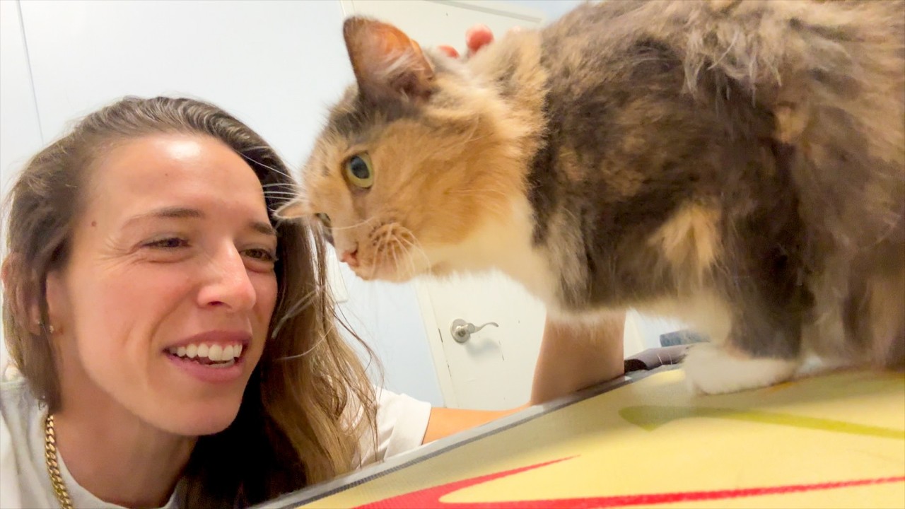 Taking Stevie to The Vet!