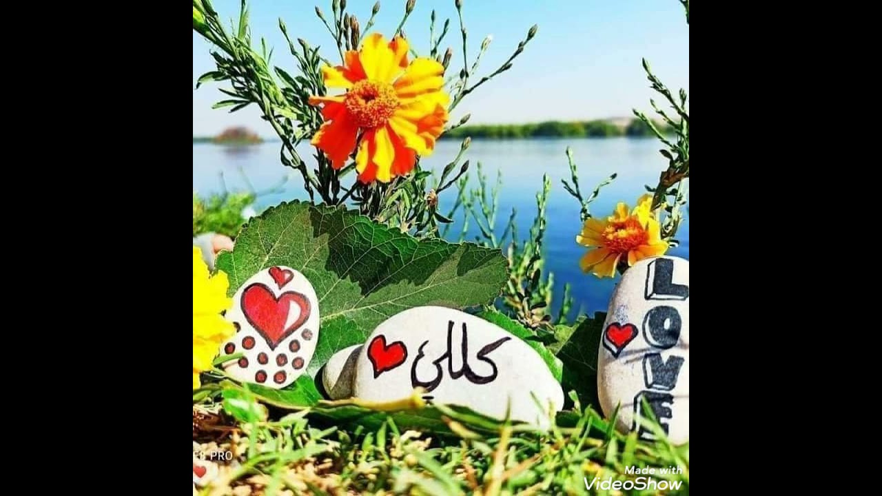 محسن بردعي ابو عبدو