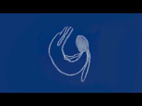 Loupe - My Hands (Official Music Video)