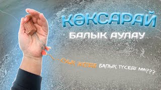 Көксарай , қараша 2023 , Рыбалка в Коксарайе 2023 ноябрь