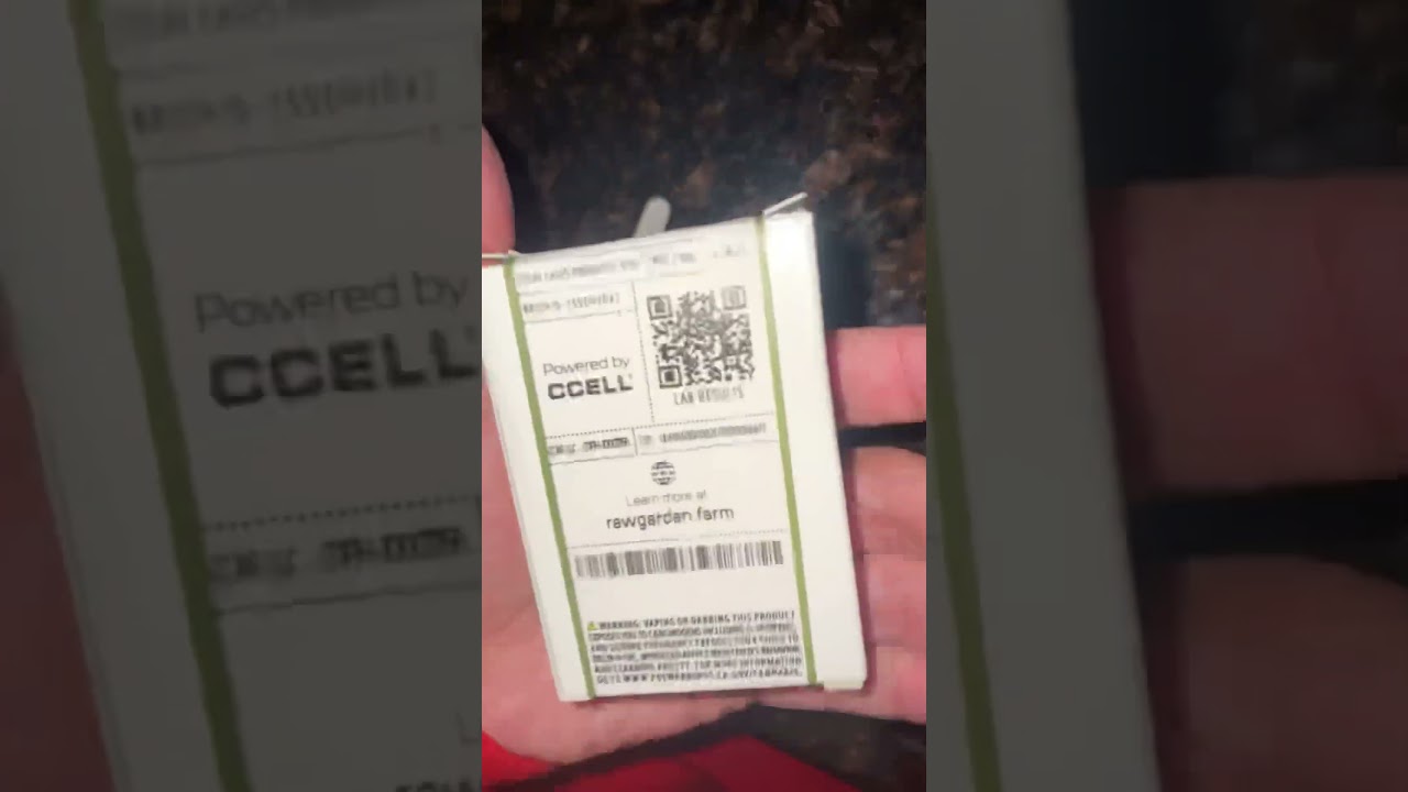 RAW GARDEN SHOULD LOOK LIKE THIS 🔥💨 