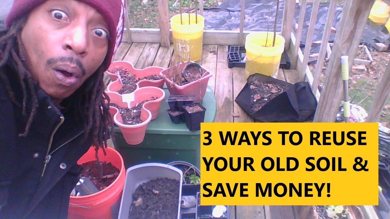 3 WAYS TO RE-USE YOUR OLD SOIL, CONTAINER & POTTING! SAVE LOTS OF MONEY