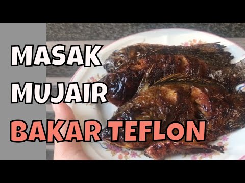 cara-memasak-ikan-mujair-bakar-teflon---resep-mudah-ikan-mujair-bakar-teflon