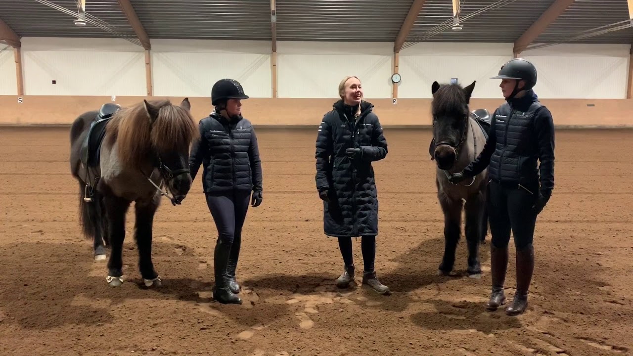 Ambassadörerna testar - Islandshäst