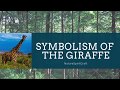 Symbolism of the giraffe