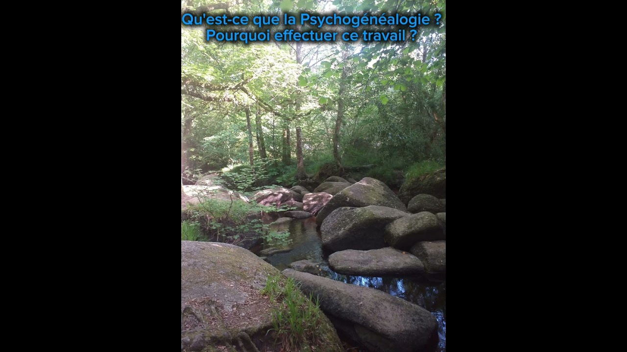 La Psychogénéalogie N'EST PAS 👇
