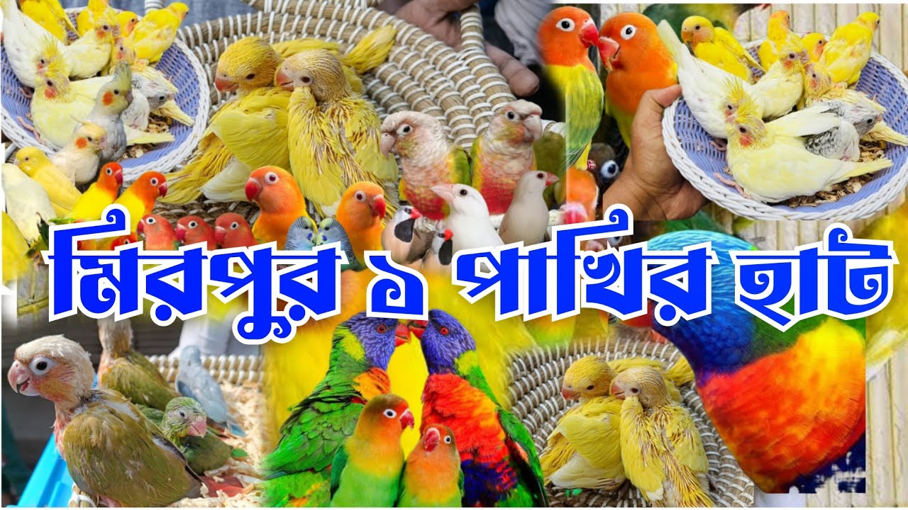 মিরপুর ১পাখির হাট 