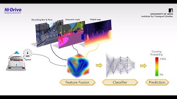PIP-Net: Pedestrian Intention Prediction in the Wild