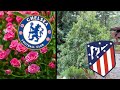 Plants and trees in football logos 