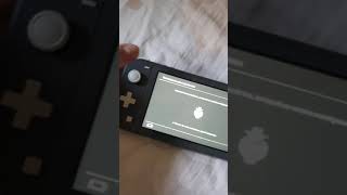 Дрифт стика на Nintendi Switch Lite. Джойкон дрифт