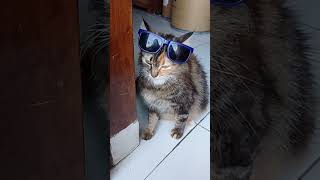 Si Udel Lagi Pengen Cantik....