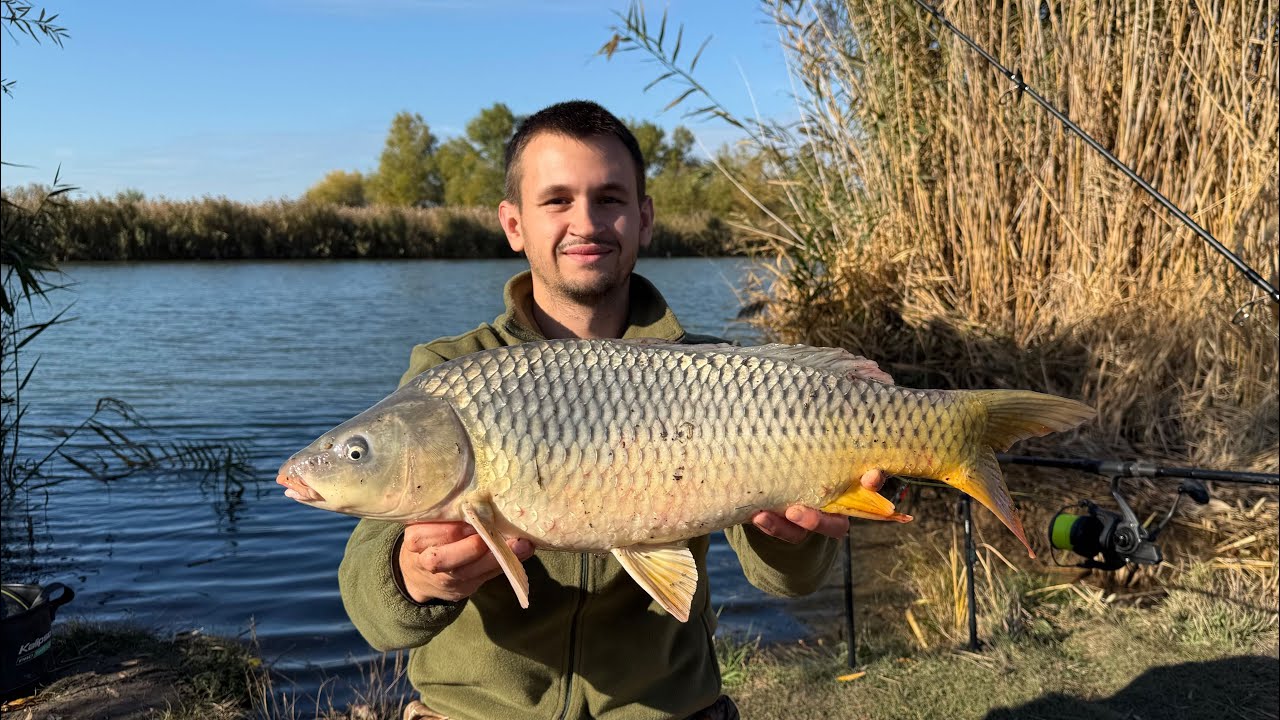 Такого я не очікував! Великий САЗАН на річці. Приїхав і спіймав рибу. Дністер порадував
