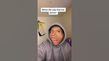 When the rats find the poison 😂