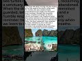 They Banned Humans from This Beach